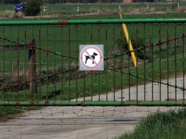 ... keinen Hund hat! (Gilt für alle von Schafen beweideten Deiche.)