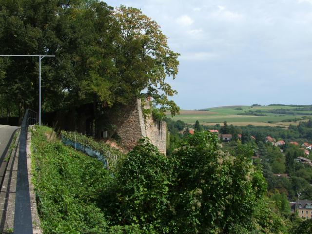 ... Ruine Neu-Wolfstein.