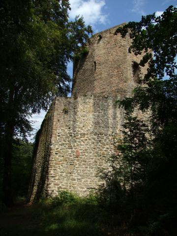 ... zur Ruine Alt-Wolfstein ...