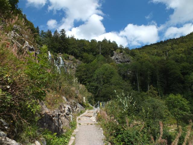 ... zum Todtnauer Wasserfall.