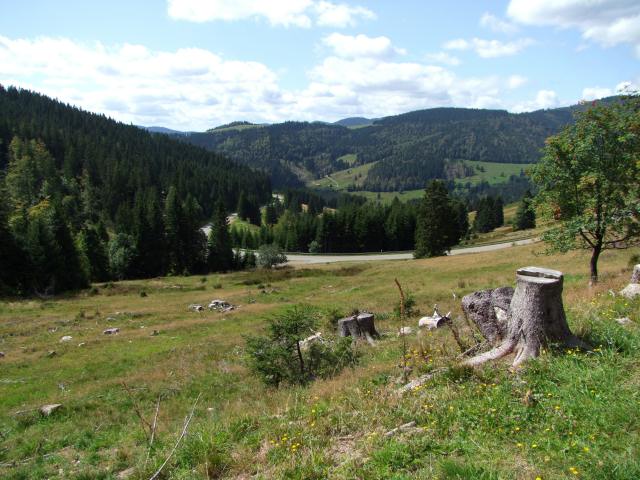 Wir strebten den Besuch eines Hochmoors an.