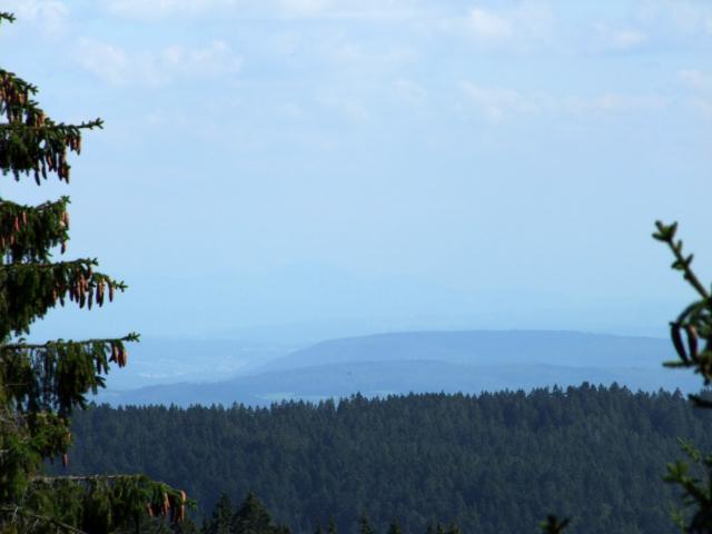 ... und die Alpen. Theoretisch, praktisch hatte der Dunst selbige verschlungen.