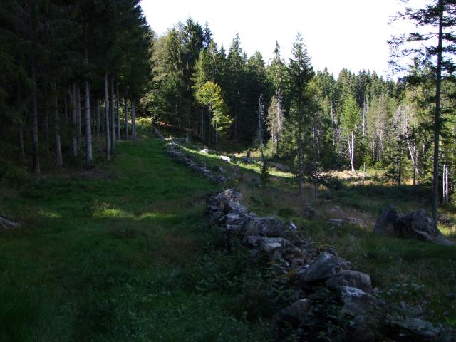 ... wie wir beim Gang entlang der Steinmauer entdeckt haben.