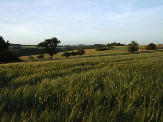Schließlich landeten wir im Hunsrück.
