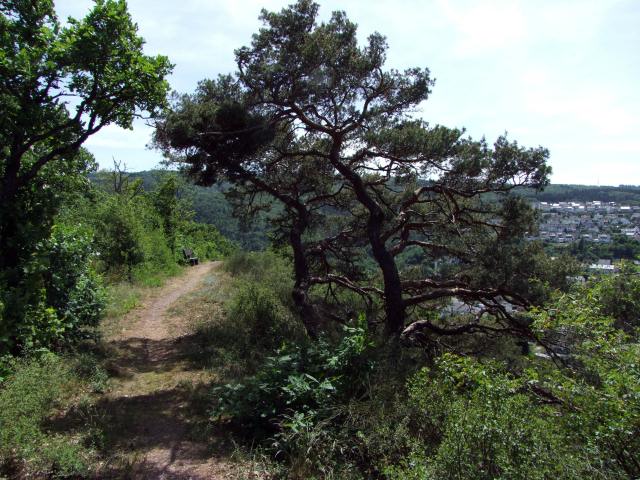 Der Nahe-Felsen-Weg bescherte uns ...