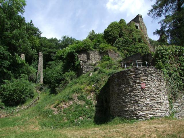 Entschädigt wurden wir von der Ruine Dalberg.