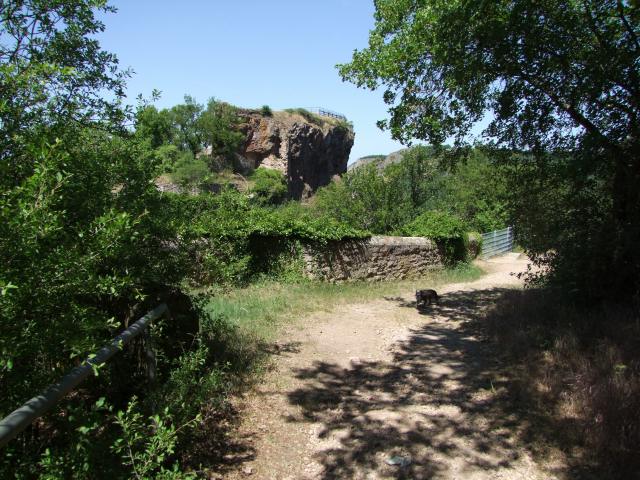 Von der Ruine Reingrafenfels hat man ...