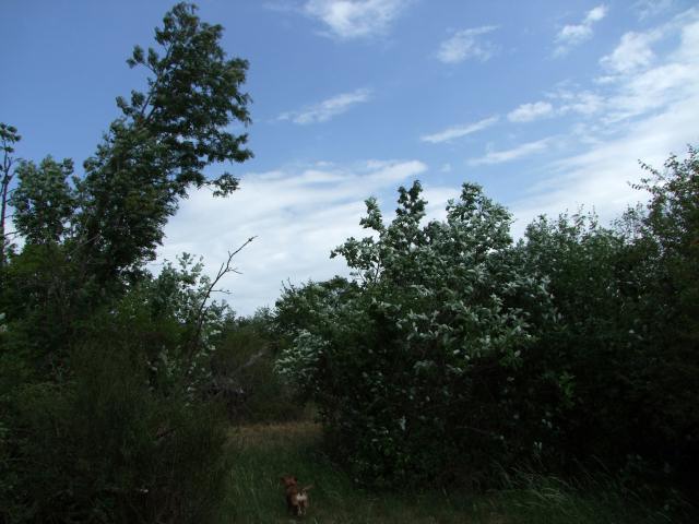 ... mit Wind  und ...