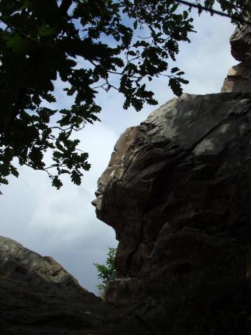 ... die eigentlich Oberhäuser Felsen heißen ...