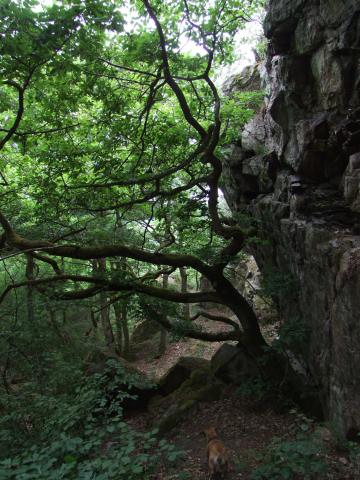 ... sind wir ebenfalls herumgeturnt.