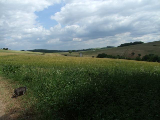 ... viel Landschaft ...