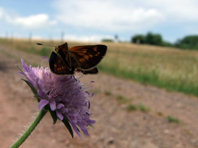 ... und unterschiedliche ...