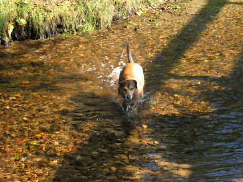 Manchmal gehe ich sogar freiwillig ins Wasser!