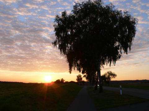 Aber noch lieber bin ich bei mir zu Hause!