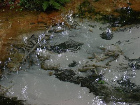 ... das Wasser ist extrem lecker!