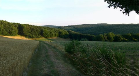 Dort unten in dem Trichter liegt irgendwo ein kleines Nachbardorf.