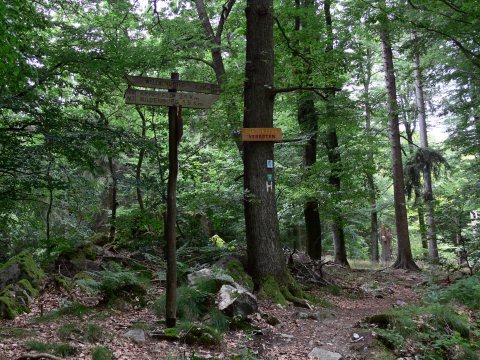 ... das Gebiet der Mörschieder Burrs beginnt. Aber da waren wir ja schon.