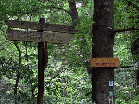 Man beachte "Für Reiter verboten", für Pferde offenbar nicht. *grins*