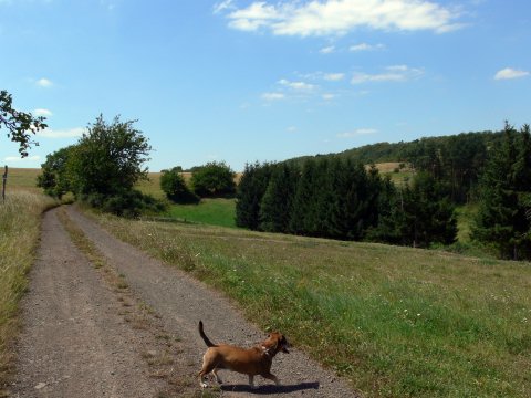 Am oberen Ende des Bergbaupfades empfing uns ...