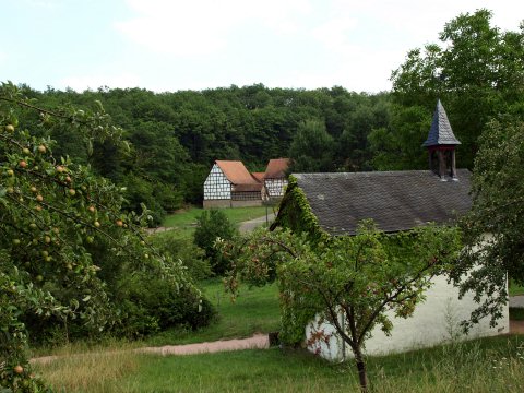 Viele Häuser gab es im Freilichtmusseum in Bad Sobernheim.