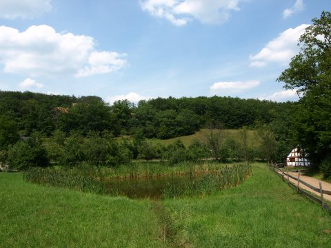 Dieser schöne Teich ...