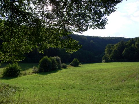 Eine schöne Pausenwiese.