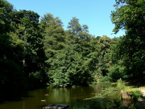 ... wanderten wir schließlich an einem Schlossteich ...