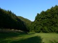 ... kleine Pause im kühlen Bachtal ...