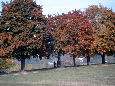 Herbst 19 Okt 2003 027