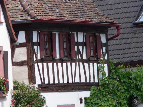Pfalz 2005 346